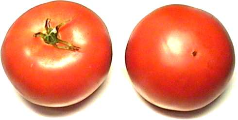 Fleisch-Tomaten